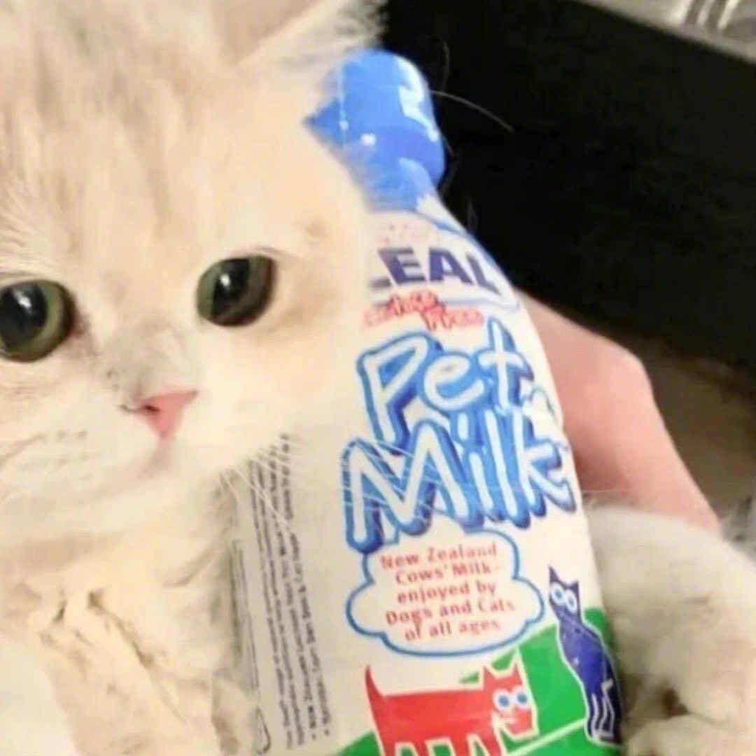 二次元动漫情侣头像4组，眼里只有你呀