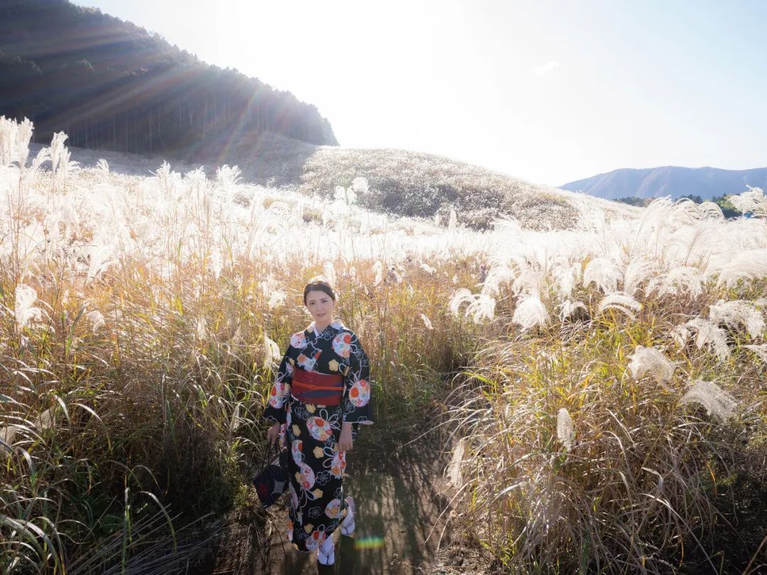 木下凛凛子资料简介-附高清写真图片