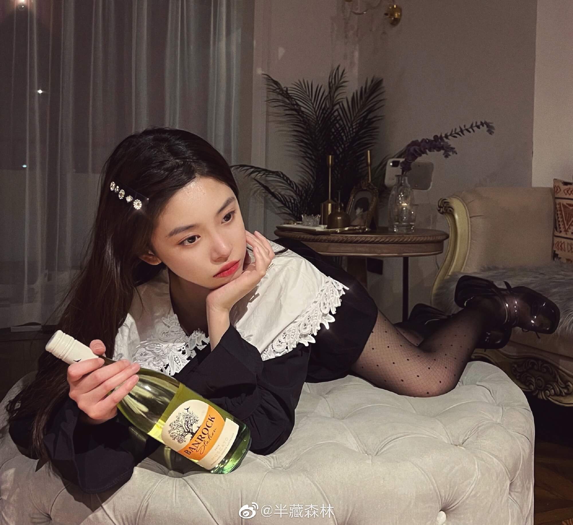 半藏森林是什么梗?半藏森林与刘阳的故事