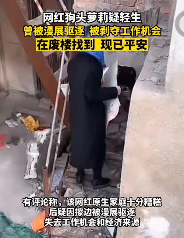 网红狗头萝莉退网 称要走出阴影重新开始生活