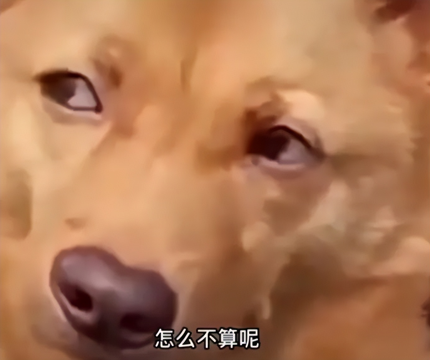 网络热梗百科“怎么不算呢”是什么梗？