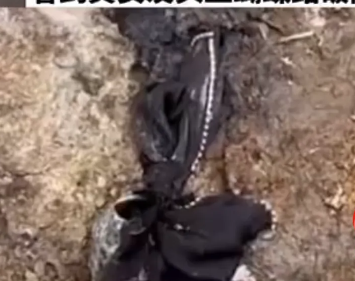 东航MU5735遇难者蝴蝶结女孩小琴的故事 蝴蝶结女孩是哪里人个人资料照片