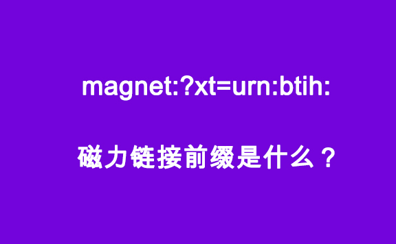 迅雷磁力链接前缀是什么？magnet:?xt=urn:btih:使用方法