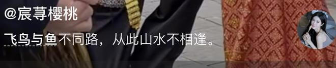 网红高雨田与女友宸荨樱桃分手,网友透露男方喜欢玩高端局