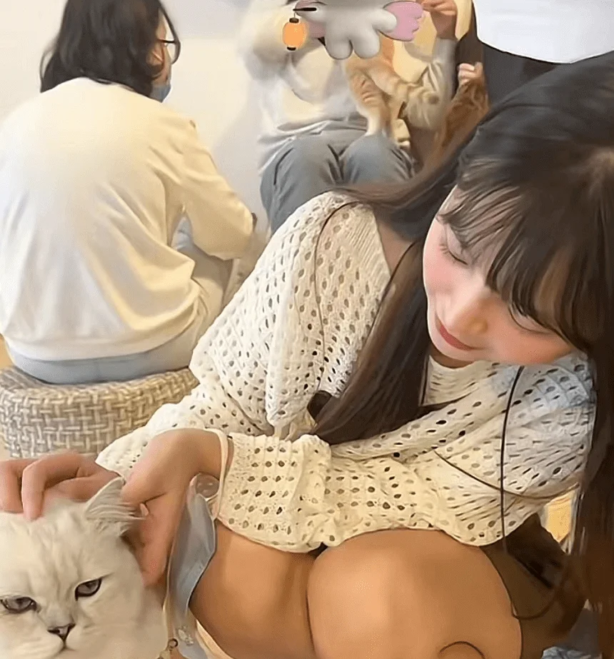 B站网红交往假富二代被骗24万后，7分钟视频疑流出