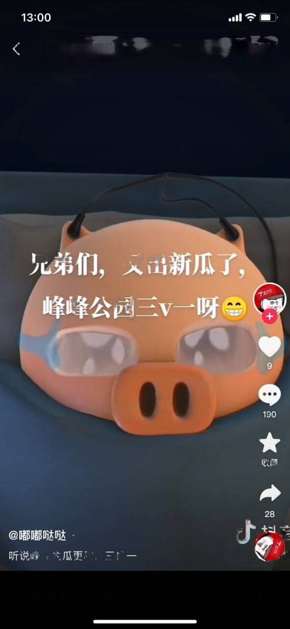 河北又爆新瓜，邯郸峰峰矿区公园三男一女不雅视频曝光！