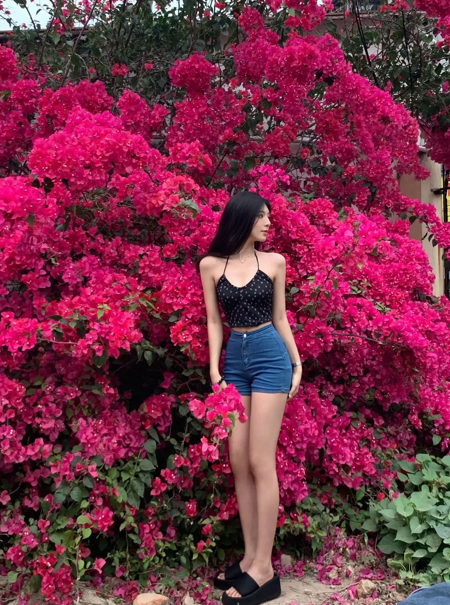 薛之谦南宁演唱会素颜女神，来自北海的小雅照片