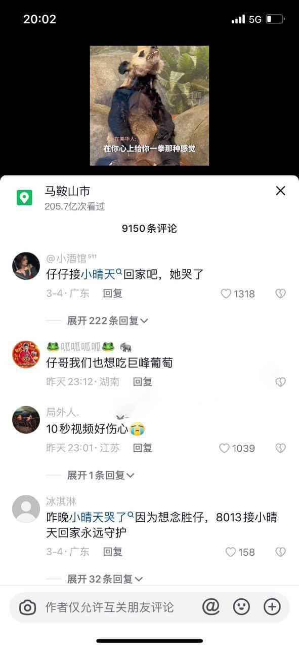 抖音胜仔吃芮甜甜葡萄事件,芮甜甜三部曲视频是什么瓜