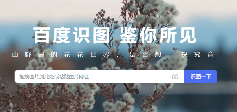 7个以图搜图的识图网站推荐