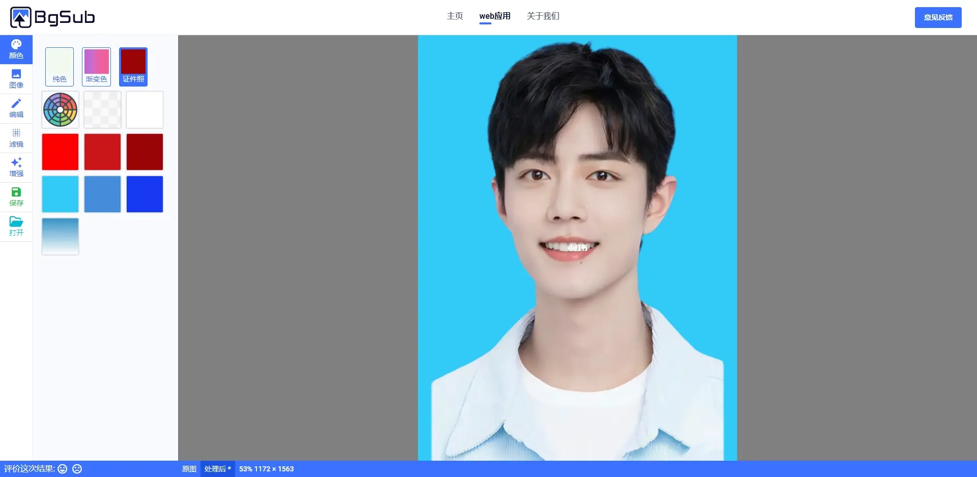 BgSub-在线抠图替换背景工具