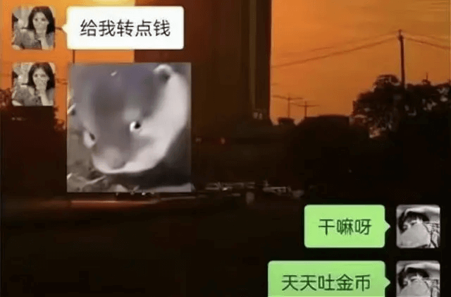 淮阴纯爱战神月供4000养小女友，被大四体育生截胡聊天曝光