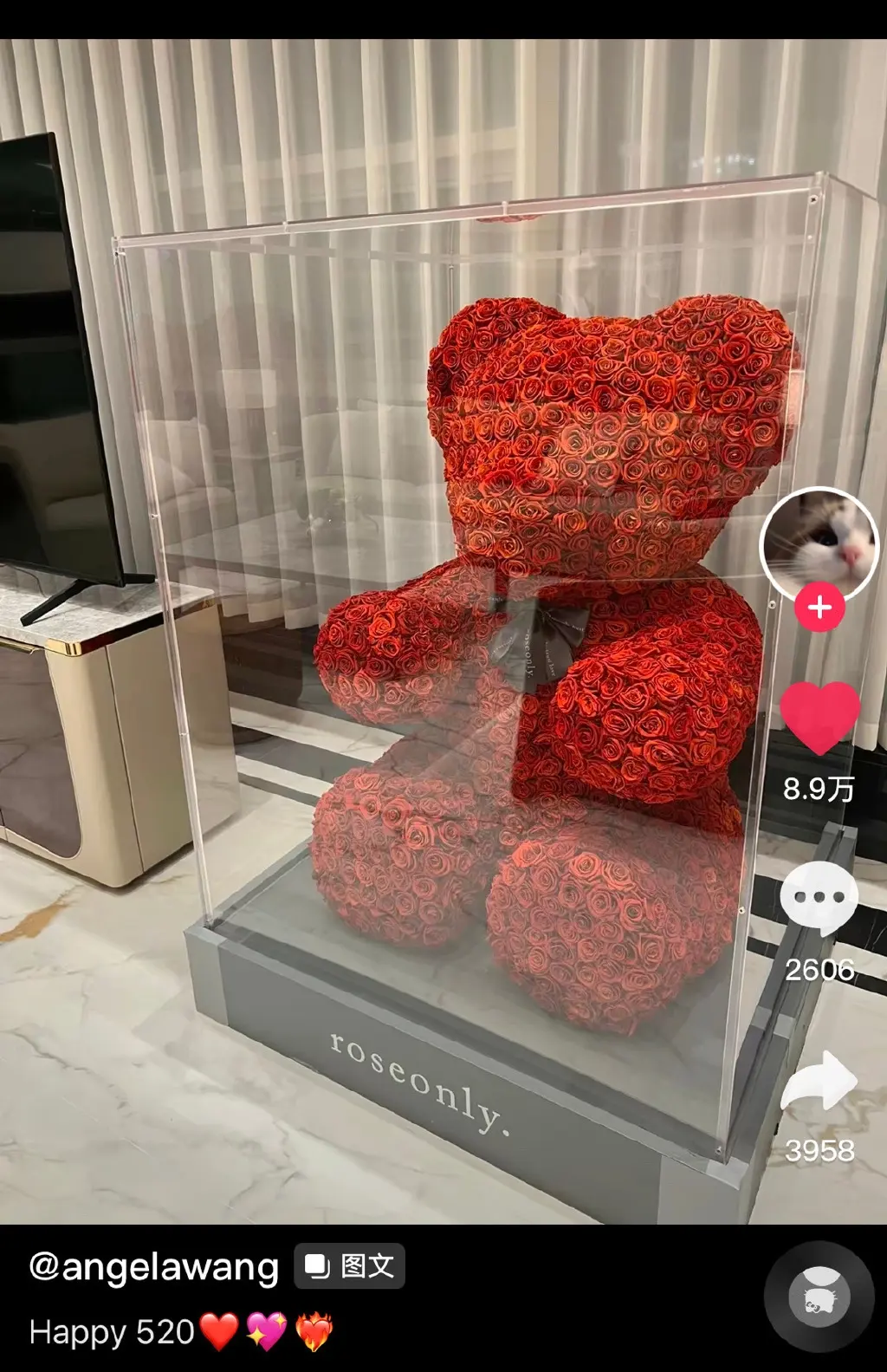 王诗龄晒出520收到的巨型玫瑰花熊上热搜，价值10多万！