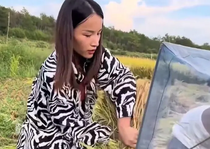 乞丐妹个人资料，江西农村大山里的90后网红女歌手