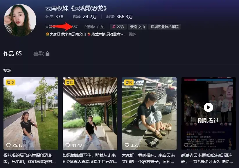 恐龙扛狼是什么梗，恐龙扛狼原曲视频