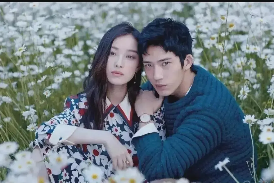 刘雯为什么喜欢井柏然？刘雯因为什么原因喜欢他