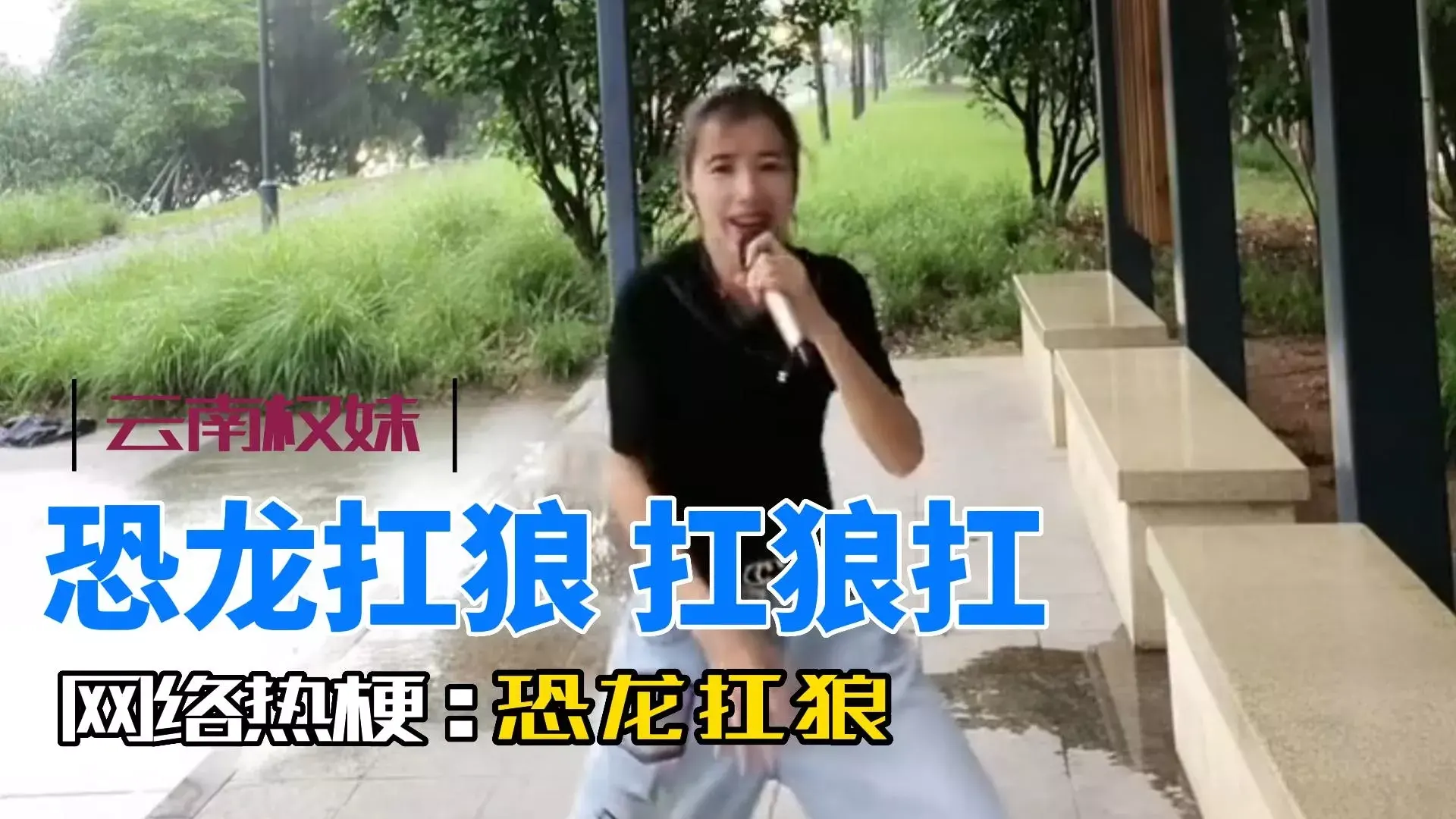 恐龙扛狼是什么梗，恐龙扛狼原曲视频