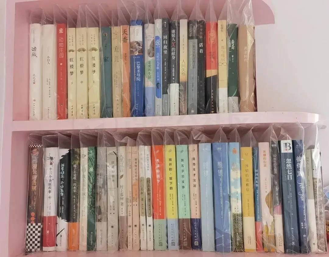 安娜的档案 - Anna’s Archive免费电子书下载网站