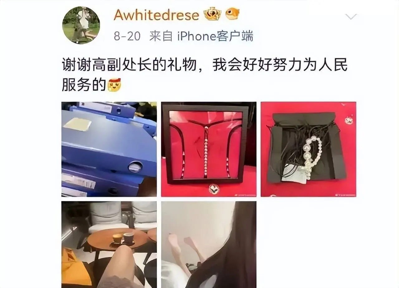 感谢高副处长和景科长送的礼物是什么梗？与美女的视频流出