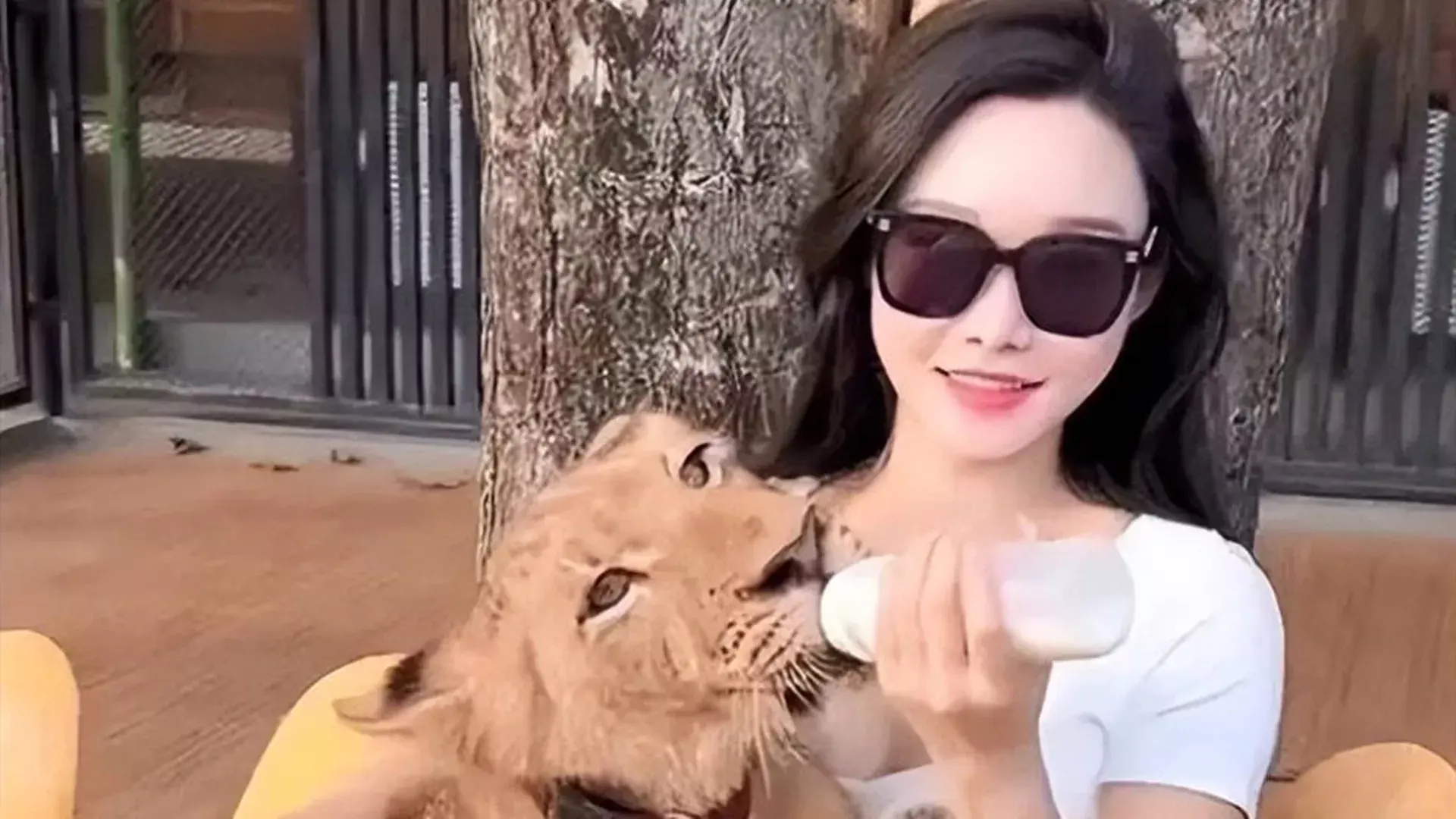 百万粉网红雅典娜Liya在东南亚失联，网传在缅甸