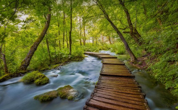 克罗地亚的十六湖国家公园-巴尔干湖上的木板路