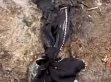 东航MU5735遇难者蝴蝶结女孩小琴是哪里人 个人资料照片