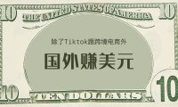 除了Tiktok跟跨境电商，还有哪些赚美元项目