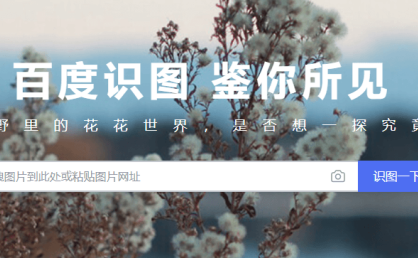 7个以图搜图的识图网站推荐