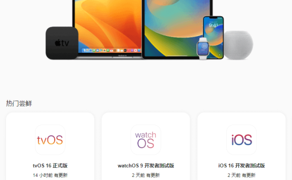 iBeta 尝鲜派-beta描述文件安装，更新iOS开发测试版