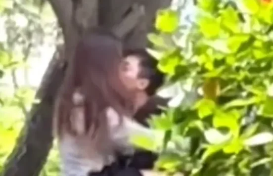 公园里一对情侣深情拥吻视频火了 女孩的腿架在男孩身上十分甜蜜