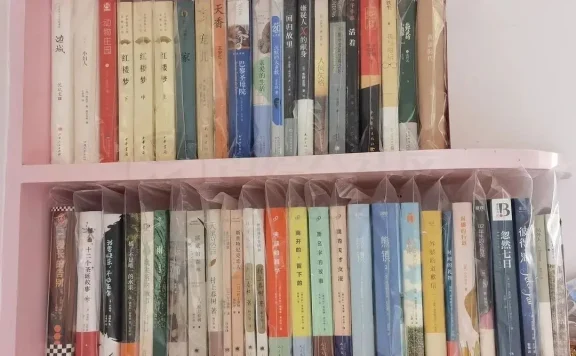 安娜的档案 - Anna’s Archive免费电子书下载网站