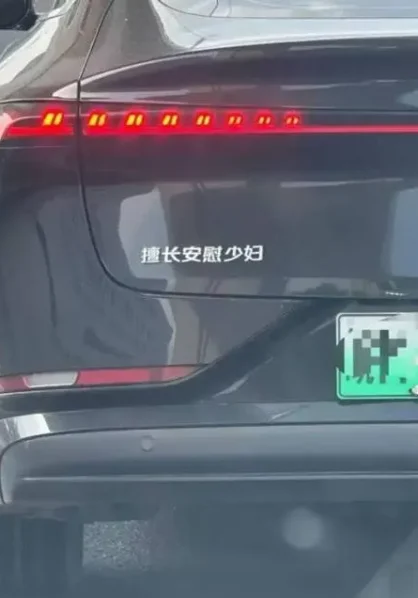 丰腴的女菩萨会有加成吗？擅长安慰少妇的囧图